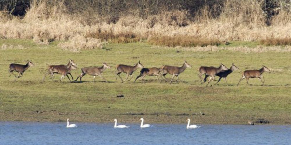 Week-end nature et sport au cœur des Grands Lacs de l'Aube